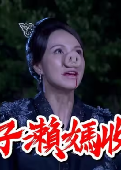 戏说台湾石子濑妈收猪精